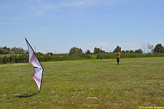 Venice kite festival_0086